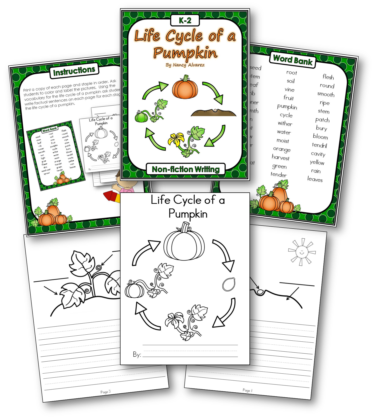 life-cycle-of-a-pumpkin-freebie-teaching-with-nancy