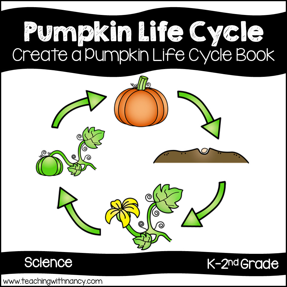 Pumpkin Life Cycle Teaching with Nancy