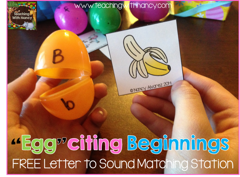 Eggciting Beginnings