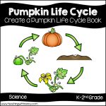 Life Cycle of a Pumpkin